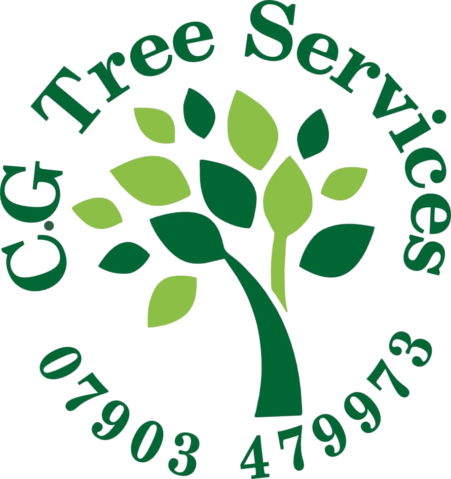 CG Tree Services logo